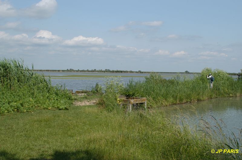 Hortobagy